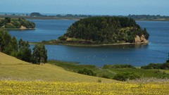 Landscapes nature Trees hills Islands lakes chile forests