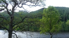 Landscapes nature Trees hills Scotland lakes forests