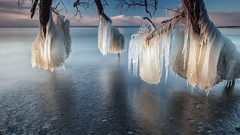 Landscapes nature Trees ice Canada Frozen Ontario lakes 