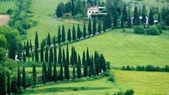 Landscapes nature Trees Italy