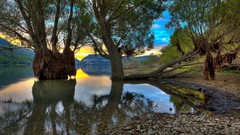 Landscapes nature Trees Italy lakes