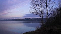 Landscapes nature Trees lakes