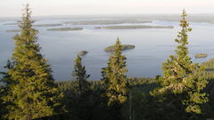 Landscapes nature Trees lakes