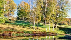 Landscapes nature Trees lakes