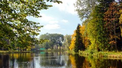 Landscapes nature Trees lakes