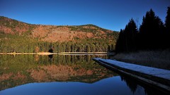 Landscapes nature Trees lakes