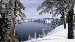 Landscapes nature Trees lakes