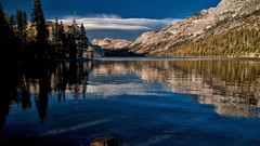 Landscapes nature Trees lakes