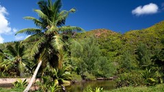 Landscapes nature Trees lakes