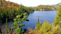 Landscapes nature Trees lakes