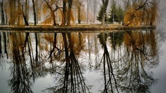 Landscapes nature Trees lakes