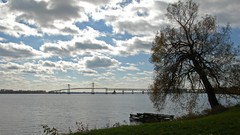 Landscapes nature Trees lakes cityscapes