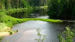 Landscapes nature Trees lakes forests