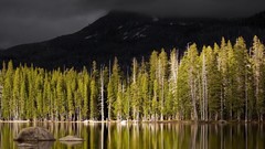Landscapes nature Trees lakes forests selective coloring