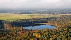 Landscapes nature Trees lakes lithuania forests Baltic states 