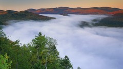 Landscapes nature Trees lakes natural rivers