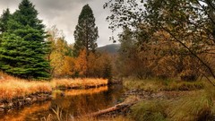 Landscapes nature Trees lakes natural rivers