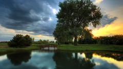 Landscapes nature Trees lakes Parks reflections USA illinois