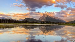 Landscapes nature Trees lakes reflections