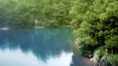 Landscapes nature Trees lakes reflections blurred forests