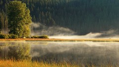 Landscapes nature Trees lakes reflections forests