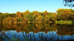 Landscapes nature Trees lakes reflections forests