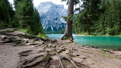 Landscapes nature Trees lakes rivers