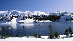 Landscapes nature Trees lakes snow landscapes