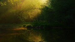 Landscapes nature Trees lakes sunlight forests