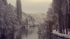 Landscapes nature Trees land