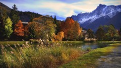 Landscapes nature Trees land