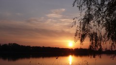 Landscapes nature Trees land