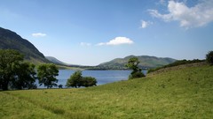 Landscapes nature Trees land