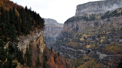 Landscapes nature Trees land