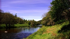 Landscapes nature Trees land