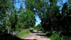 Landscapes nature Trees land