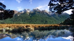 Landscapes nature Trees land