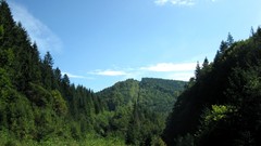 Landscapes nature Trees land