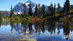 Landscapes nature Trees land