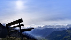 Landscapes nature Trees land