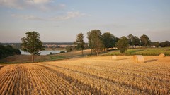 Landscapes nature Trees land