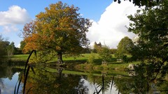 Landscapes nature Trees land Castles rivers