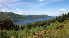 Landscapes nature Trees land rivers