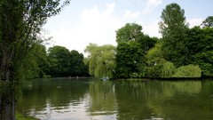 Landscapes nature Trees land rivers forests