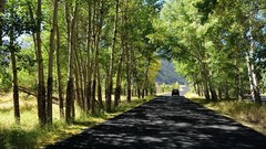 Landscapes nature Trees land roads