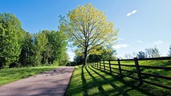 Landscapes nature Trees land roads
