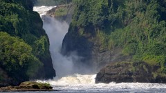 Landscapes nature Trees land waterfalls forests