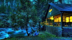 Landscapes nature Trees light evening House