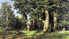 Landscapes nature Trees light Wood shadows