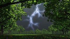 Landscapes nature Trees Lightning